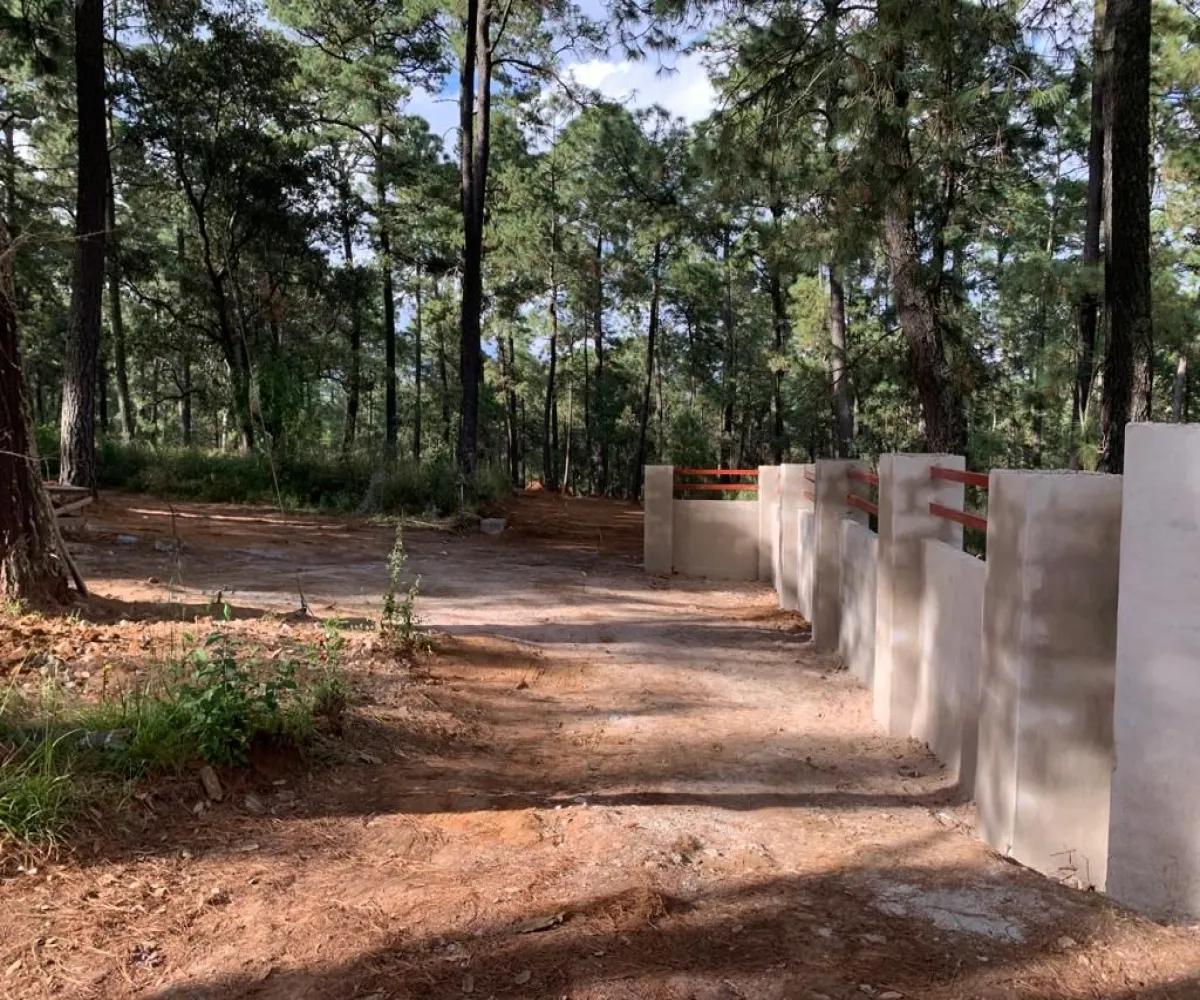 Terreno En Venta,Los Espinos,Borregos S/N, Tapalpa, Jalisco 49346,Borregos,pShHD3b