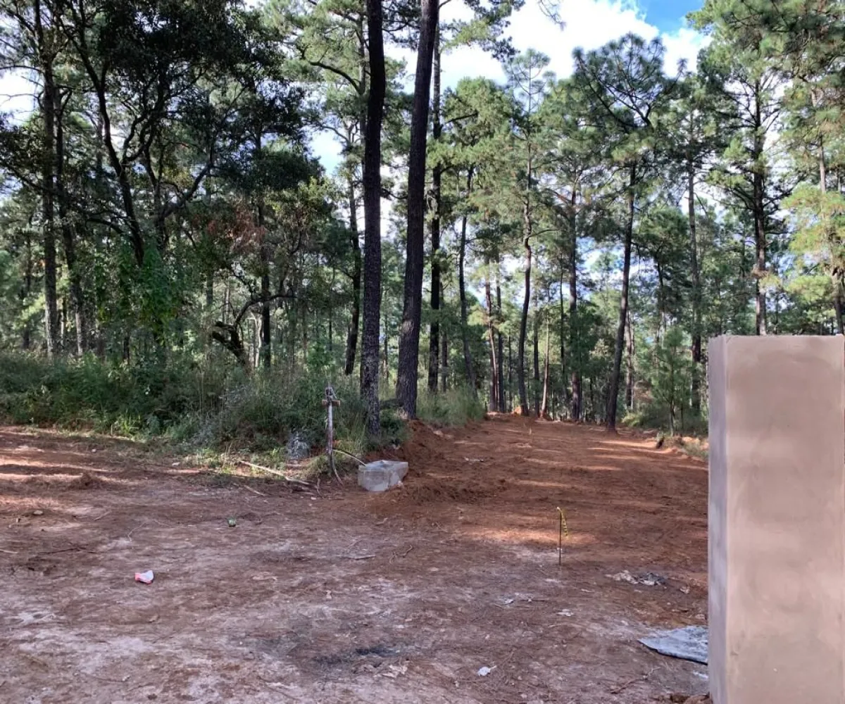 Terreno En Venta,Los Espinos,Borregos S/N, Tapalpa, Jalisco 49346,Borregos,pShHD3b