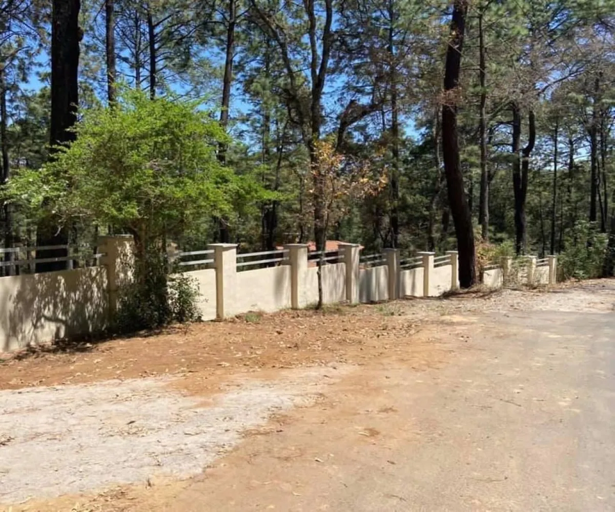 Terreno En Venta,Los Espinos,Borregos S/N, Tapalpa, Jalisco 49346,Borregos,pShHD3b