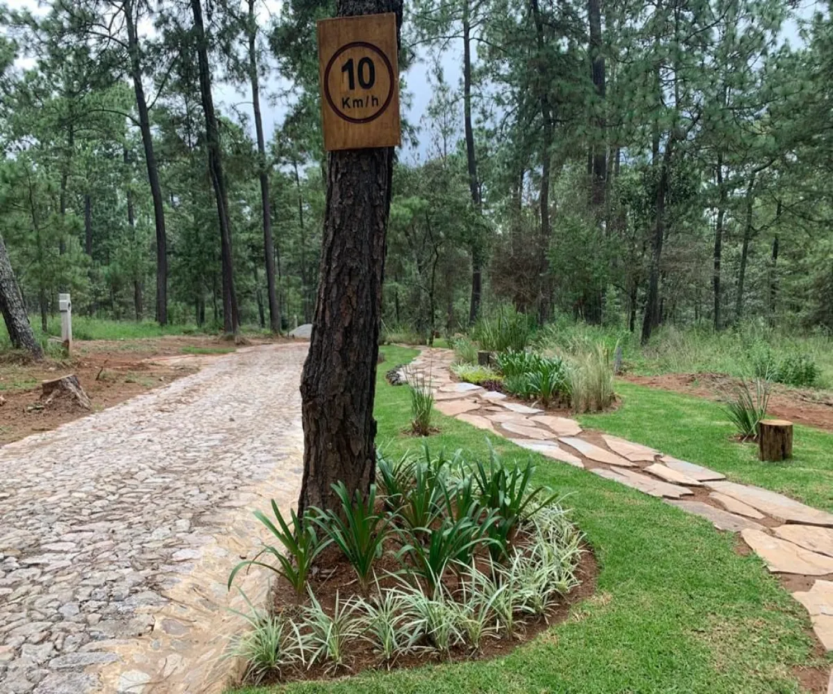 Terreno En Venta,Los Espinos,Borregos S/N, Tapalpa, Jalisco 49346,Borregos,pShHD3b