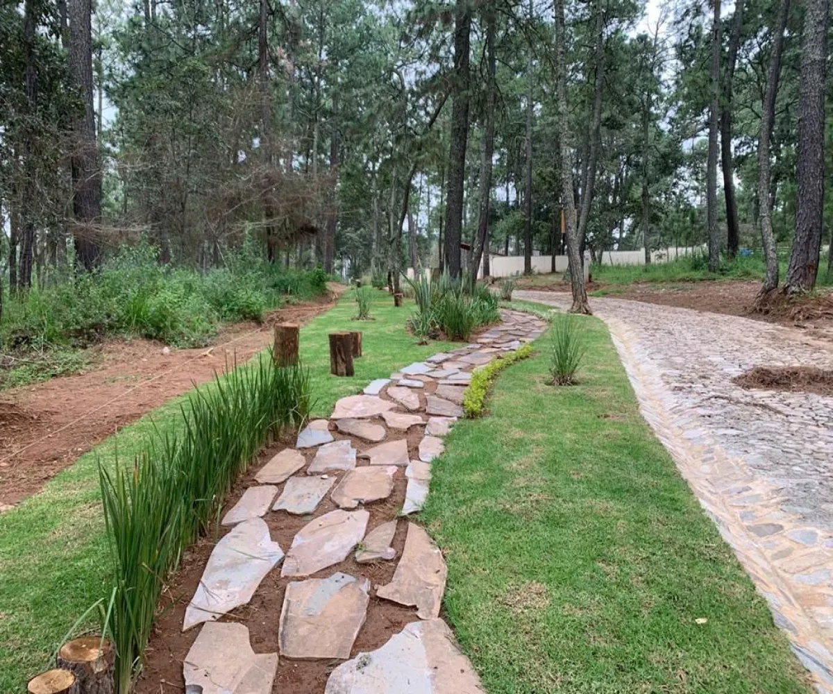 Terreno En Venta,Los Espinos,Borregos S/N, Tapalpa, Jalisco 49346,Borregos,pShHD3b