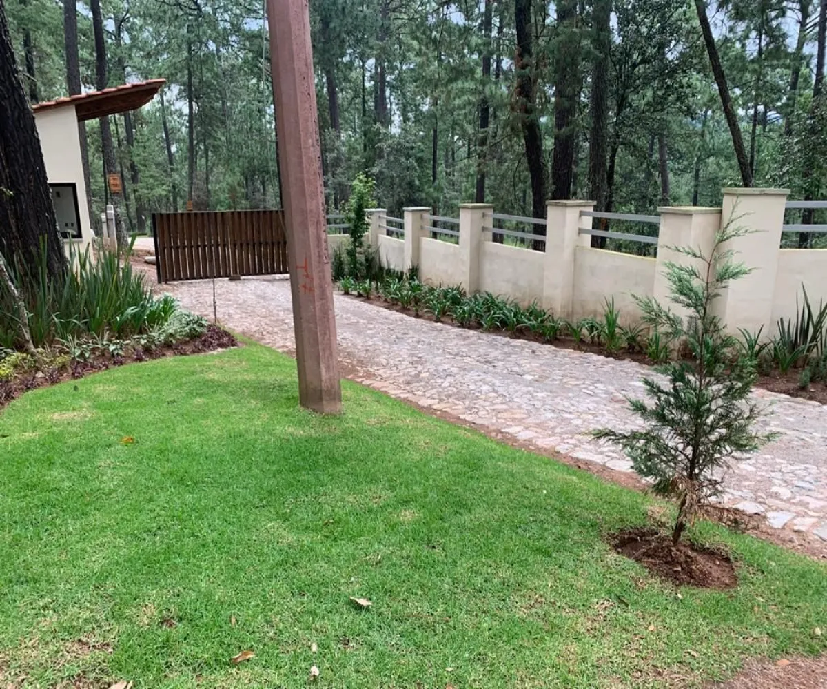 Terreno En Venta,Los Espinos,Borregos S/N, Tapalpa, Jalisco 49346,Borregos,pShHD3b