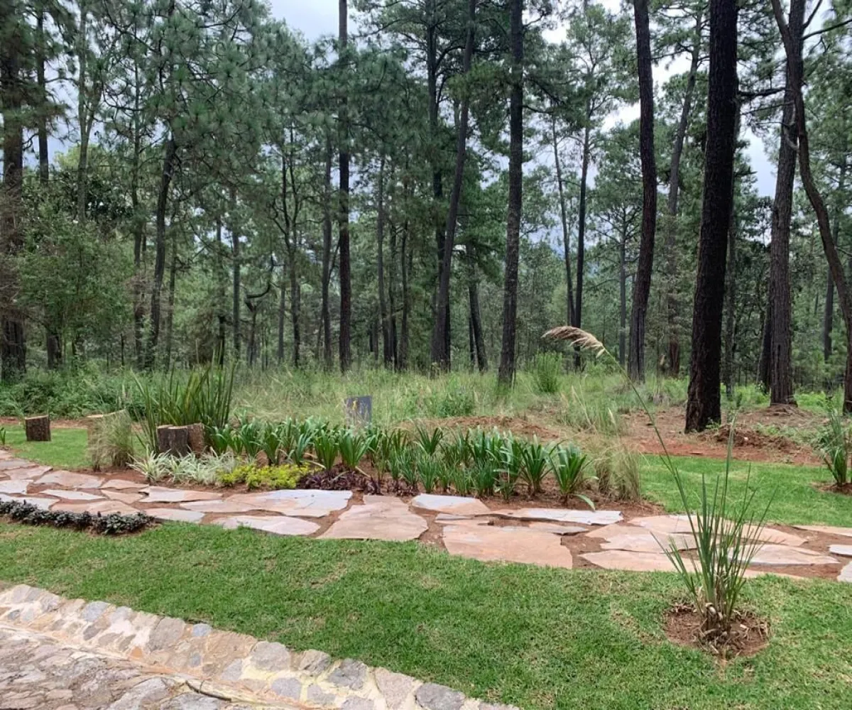 Terreno En Venta,Los Espinos,Borregos S/N, Tapalpa, Jalisco 49346,Borregos,pShHD3b