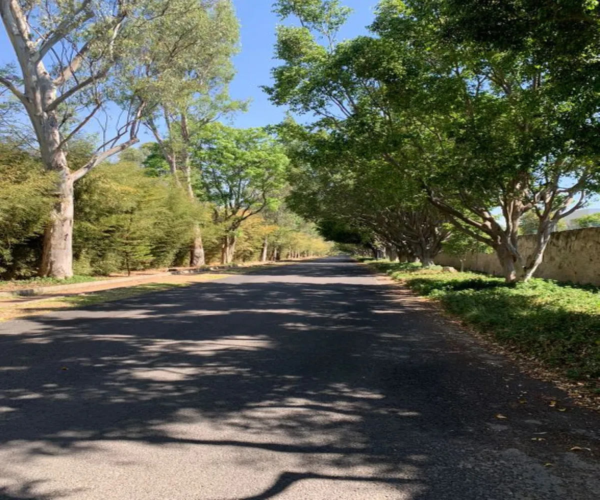 Terreno En Venta,La Mojonera,Av. Ramón Corona 1100, Zapopan, Jalisco 45019,Av. Ramón Corona,pWlUlKC
