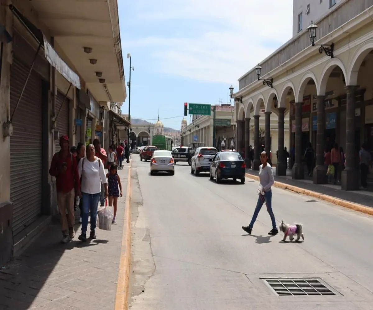 Local En Venta,Ciudad Guzmán Centro,Federico del Toro 27, Zapotlán el Grande, Jalisco 49000,Federico del Toro,pcfRohn