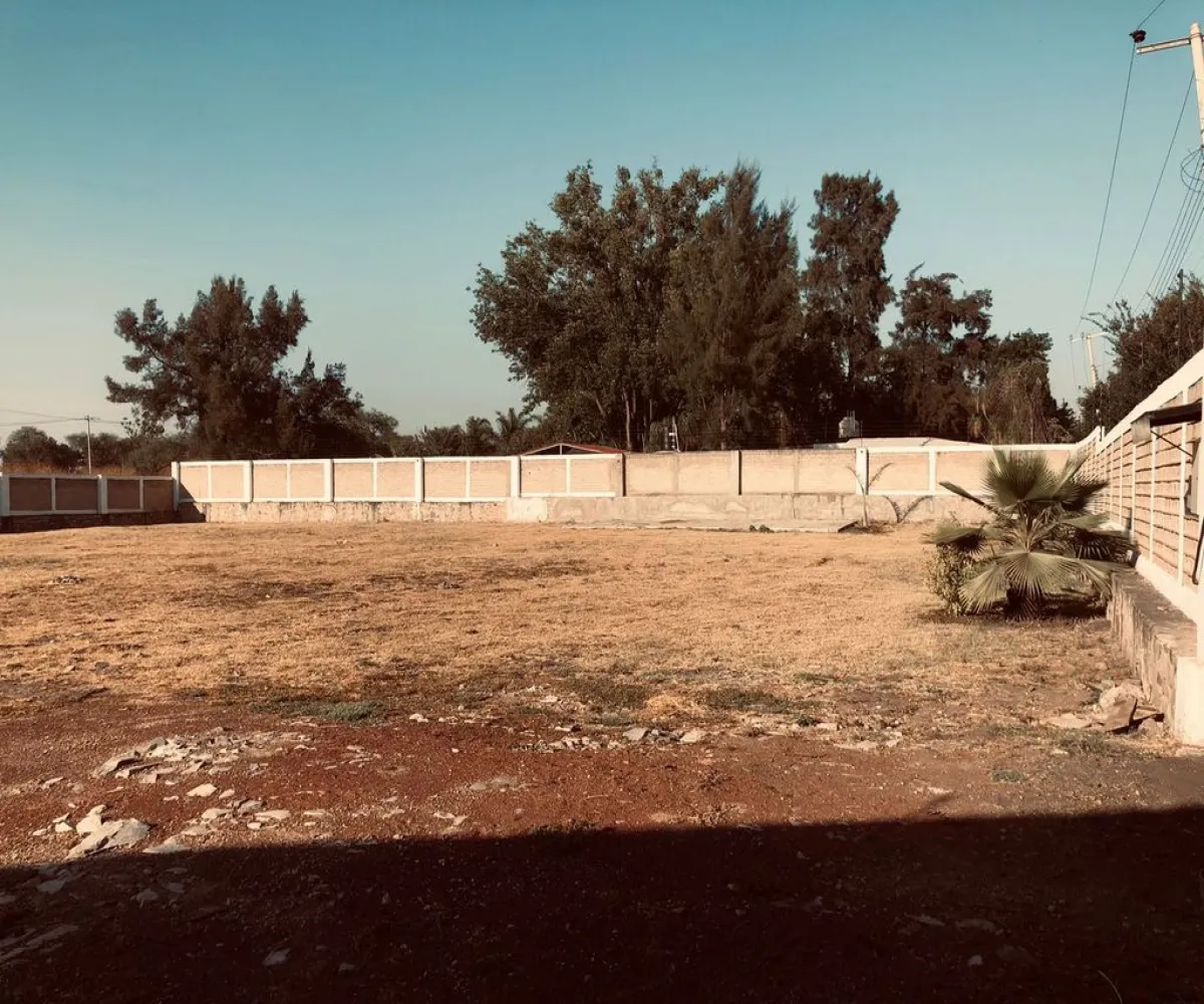 Terreno En Renta,Los Sauces,Vereda de los Jazmines S/N, Tlajomulco de Zúñiga, Jalisco 45675,Vereda de los Jazmines,ppdAvnm