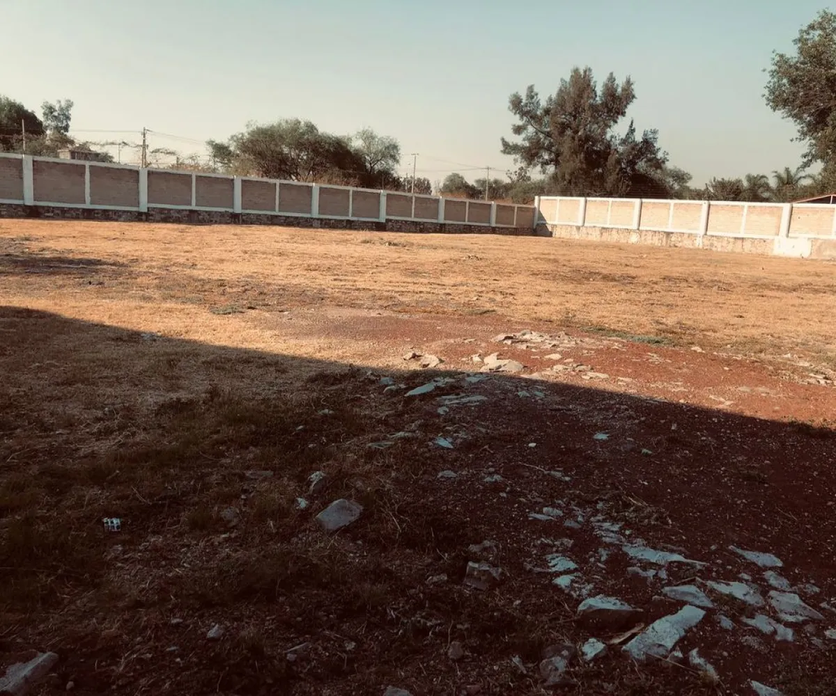 Terreno En Renta,Los Sauces,Vereda de los Jazmines S/N, Tlajomulco de Zúñiga, Jalisco 45675,Vereda de los Jazmines,ppdAvnm