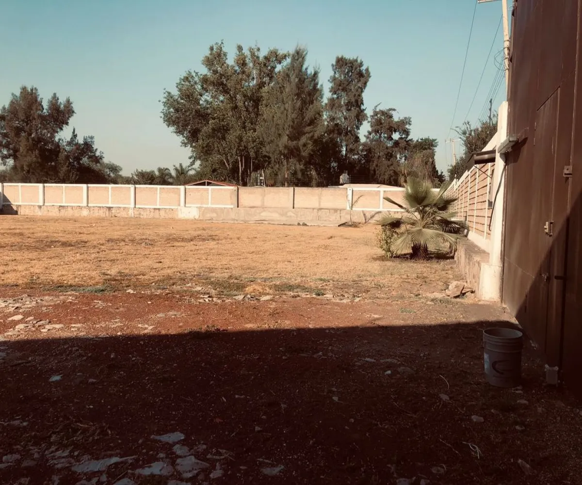 Terreno En Renta,Los Sauces,Vereda de los Jazmines S/N, Tlajomulco de Zúñiga, Jalisco 45675,Vereda de los Jazmines,ppdAvnm