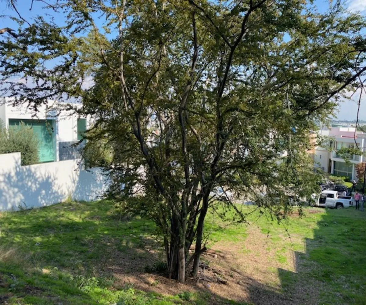 Terreno En Venta,Lomas Del Bosque,avenida Acueducto 6060 10 A, Zapopan, Jalisco 45118,avenida Acueducto ,1,pX3lslS