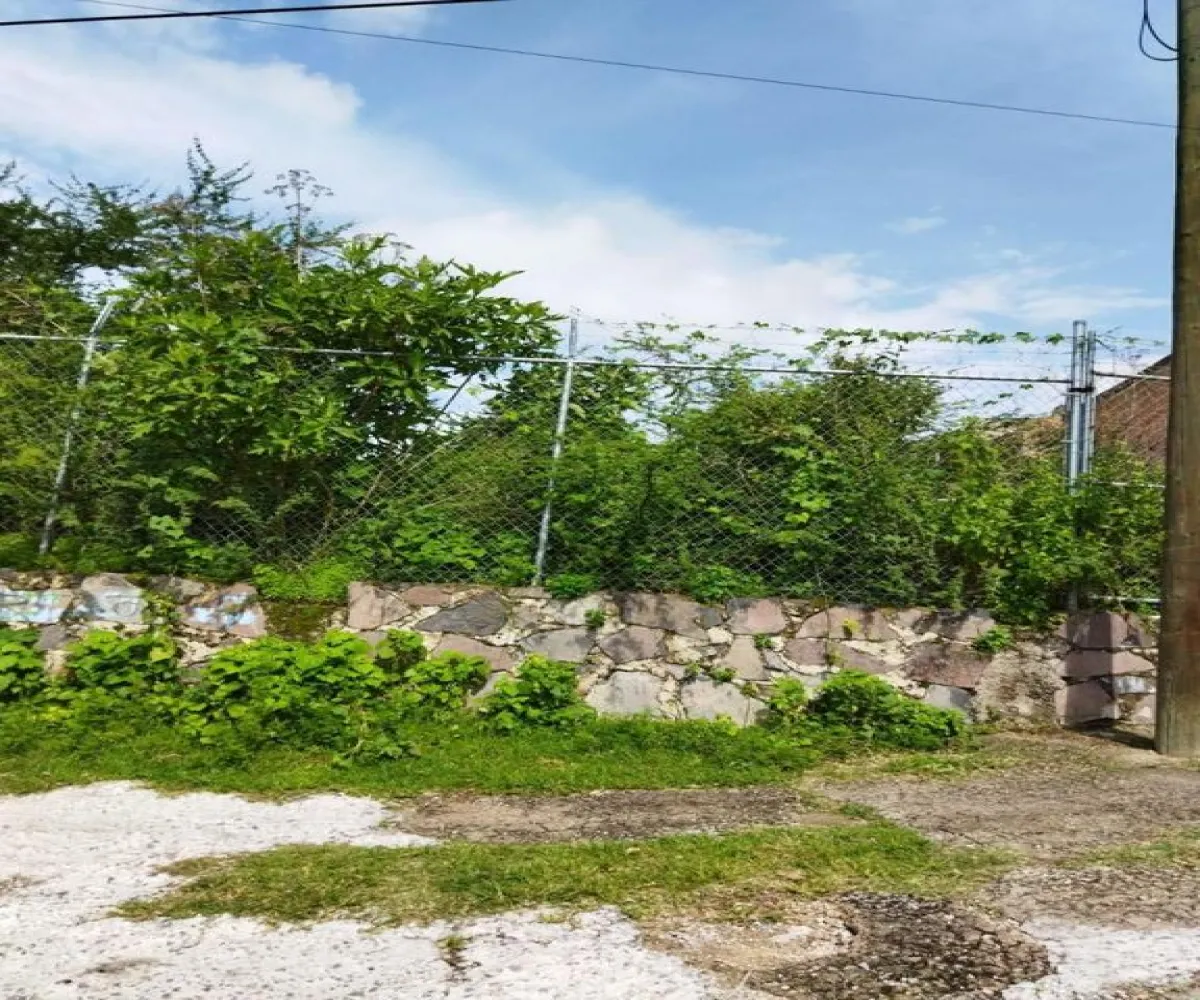 Terreno En Venta,Agua Fría,DEL RIO 6, Zapopan, Jalisco 45186,DEL RIO,pgutbD1