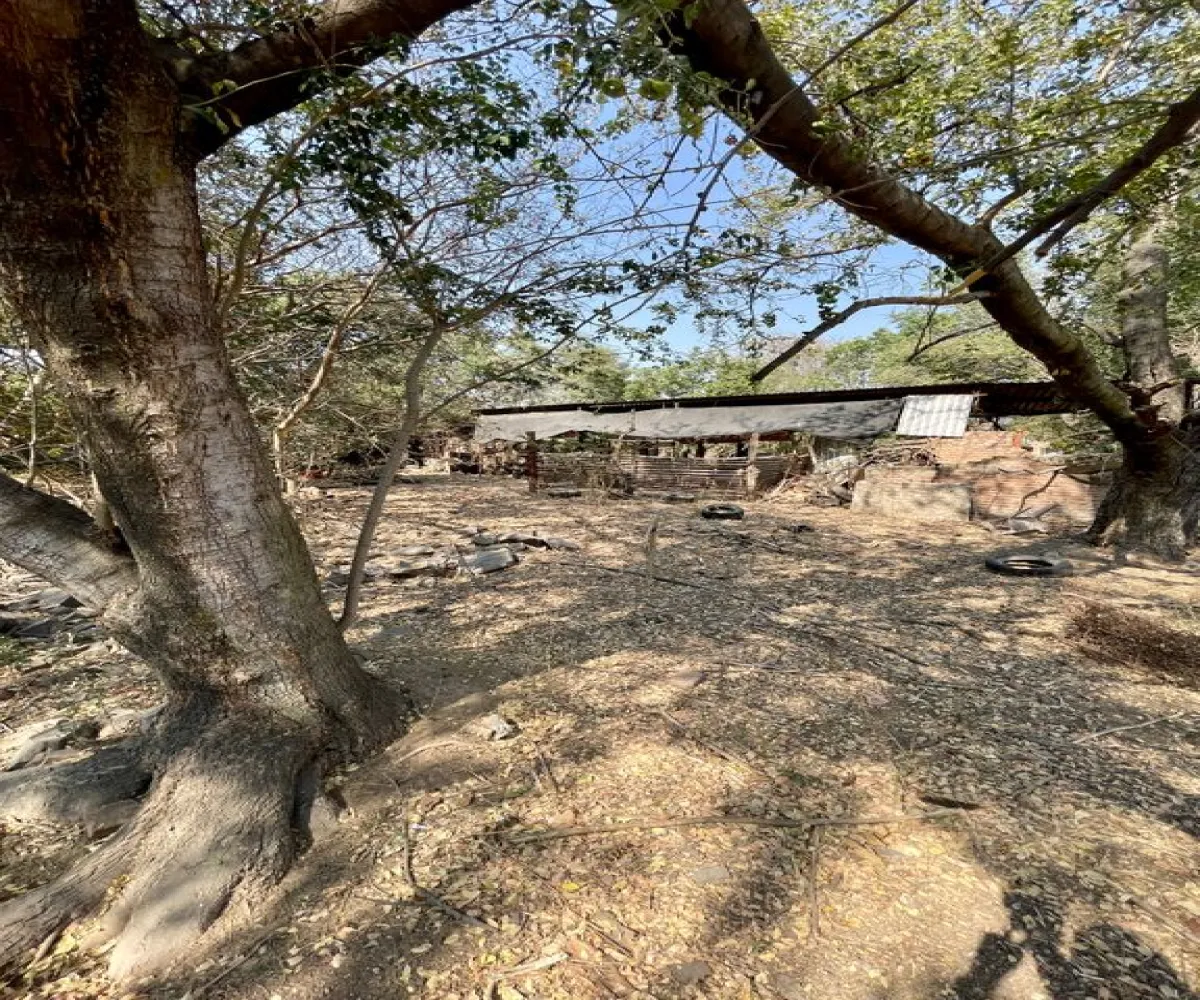 Terreno En Venta,López Cotilla,Hidalgo 35, San Pedro Tlaquepaque, Jalisco 45115,Hidalgo,pfFFAFO