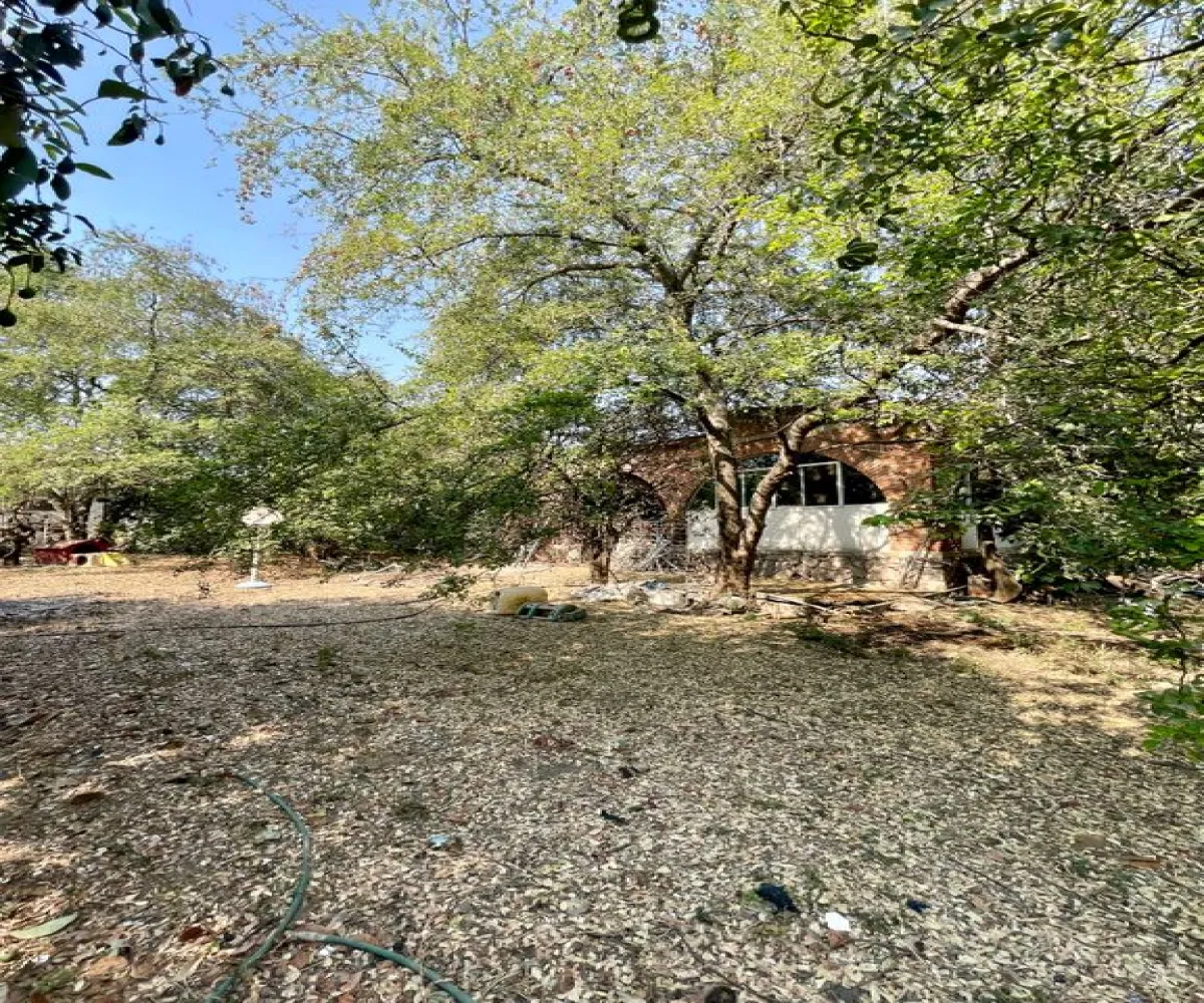 Terreno En Venta,López Cotilla,Hidalgo 35, San Pedro Tlaquepaque, Jalisco 45115,Hidalgo,pfFFAFO