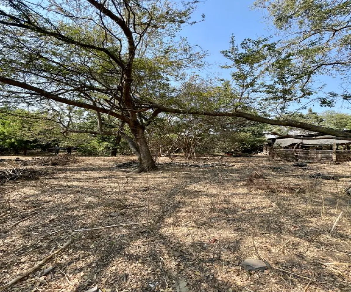 Terreno En Venta,López Cotilla,Hidalgo 35, San Pedro Tlaquepaque, Jalisco 45115,Hidalgo,pfFFAFO