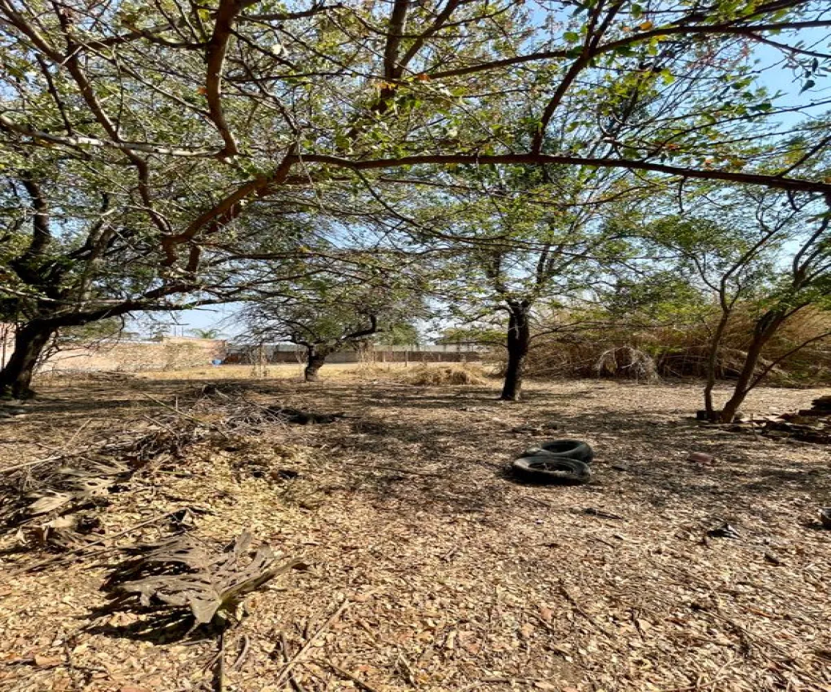 Terreno En Venta,López Cotilla,Hidalgo 35, San Pedro Tlaquepaque, Jalisco 45115,Hidalgo,pfFFAFO