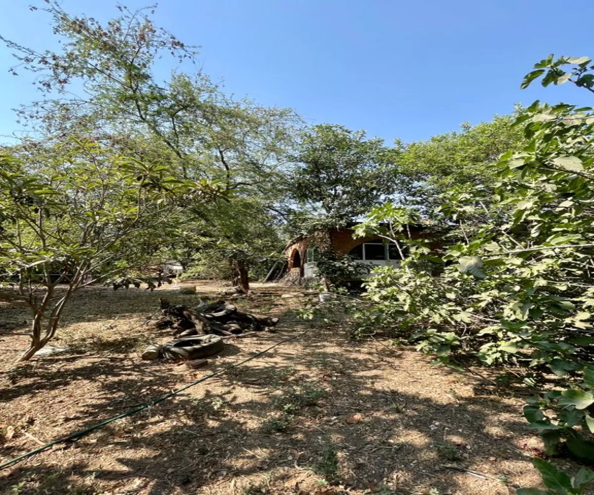 Terreno En Venta,López Cotilla,Hidalgo 35, San Pedro Tlaquepaque, Jalisco 45115,Hidalgo,pfFFAFO