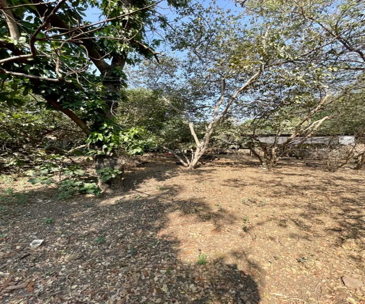 Terreno En Venta,López Cotilla,Hidalgo 35, San Pedro Tlaquepaque, Jalisco 45115,Hidalgo,pfFFAFO