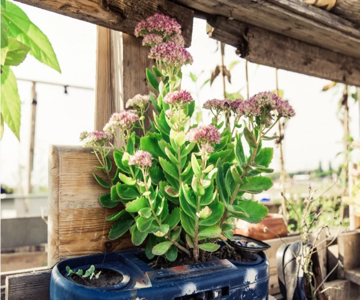 Departamento En PreVenta,El Retiro,José Encarnación Rosas 407, Guadalajara, Jalisco 44280, 1 Cuarto,1 Baño,José Encarnación Rosas ,1,pQZrIBa Departamento En PreVenta,El Retiro,José Encarnación Rosas 407, Guadalajara, Jalisco 44280, 1 Cuarto,1 Baño,José Encarnación Rosas ,1,pQZrIBa