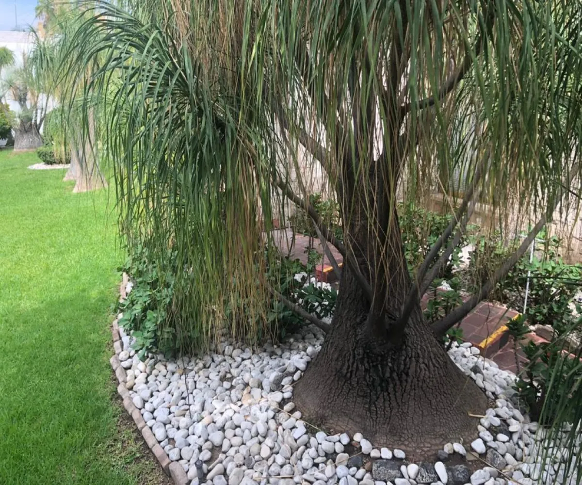 Casa En Venta,Jardines de Irapuato,Pino 50, Irapuato, Guanajuato 36660, 4 Habitaciones,3 Baños,Pino,2,p3cBwfn