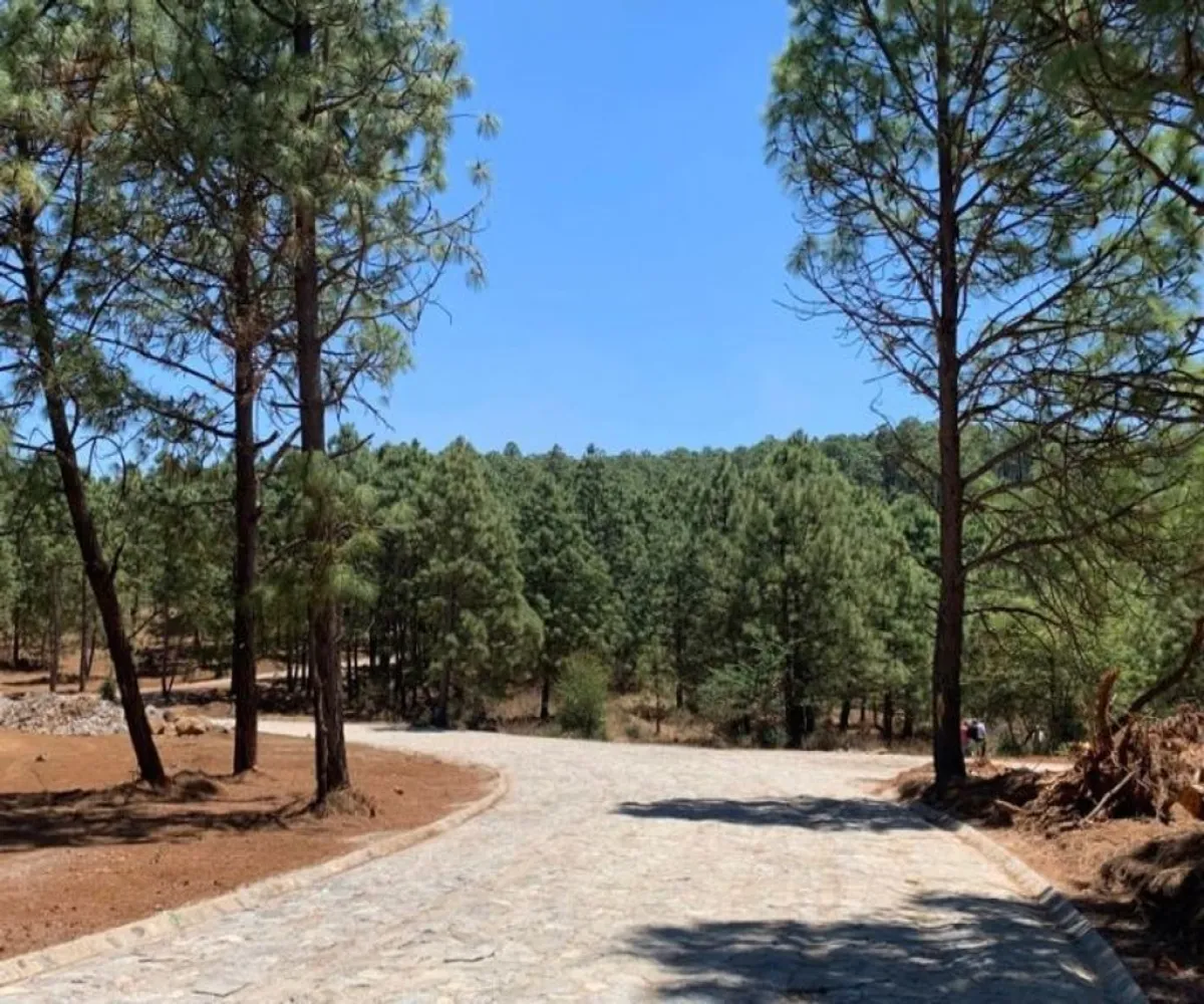 Terreno En Venta,Tapalpa,Real Encinos S/N, Tapalpa, Jalisco 49340,Real Encinos,p9dFzCL