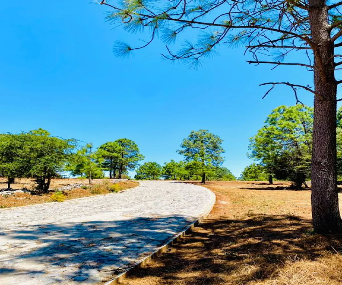 Terreno En Venta,Tapalpa,Real Encinos S/N, Tapalpa, Jalisco 49340,Real Encinos,p9dFzCL