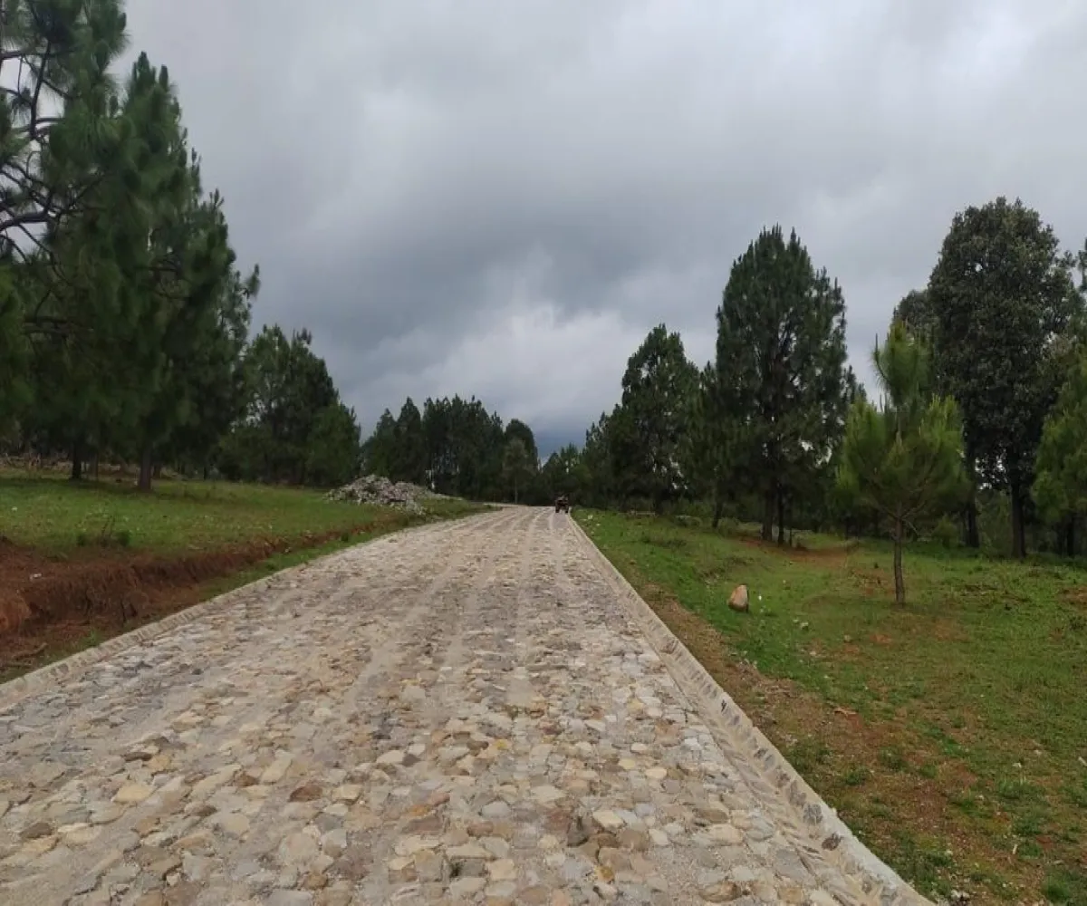 Terreno En Venta,Tapalpa,Real Encinos S/N, Tapalpa, Jalisco 49340,Real Encinos,p9dFzCL