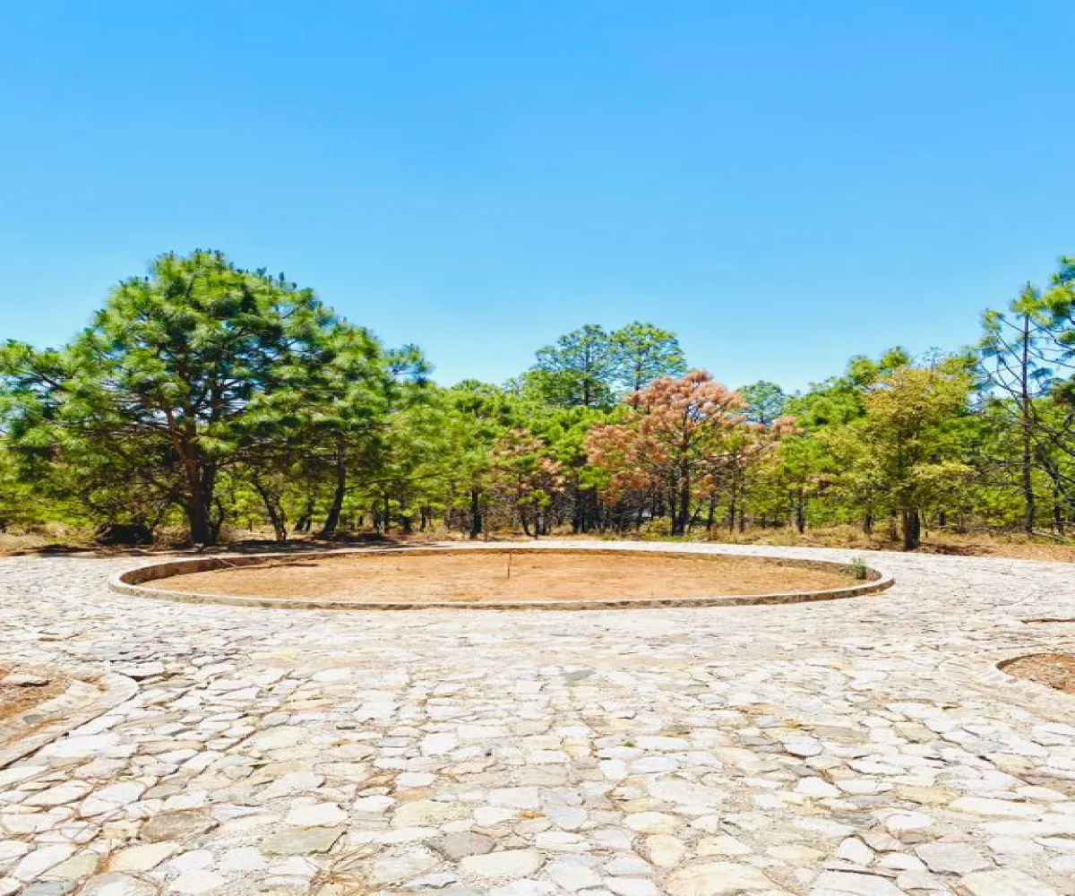 Terreno En Venta,Tapalpa,Real Encinos S/N, Tapalpa, Jalisco 49340,Real Encinos,p9dFzCL