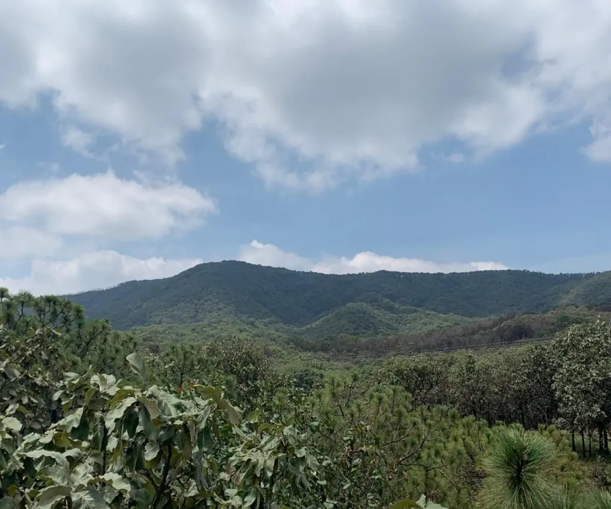 Terreno En Venta,Tala Centro,LOTE #7 DENTRO DEL PREDIO EL HUILUSTRE 1, Tala, Jalisco 45300,LOTE #7 DENTRO DEL PREDIO EL HUILUSTRE,pqVKnce