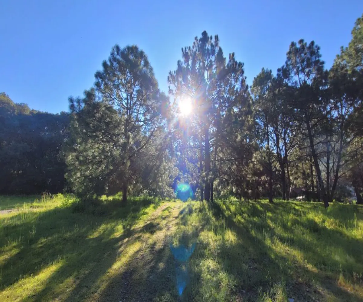 Terreno En Venta,Tala Centro,LOTE #7 DENTRO DEL PREDIO EL HUILUSTRE 1, Tala, Jalisco 45300,LOTE #7 DENTRO DEL PREDIO EL HUILUSTRE,pqVKnce