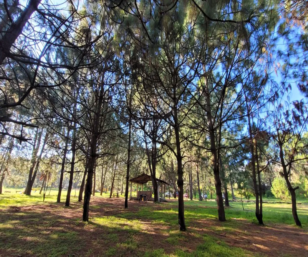 Terreno En Venta,Tala Centro,LOTE #7 DENTRO DEL PREDIO EL HUILUSTRE 1, Tala, Jalisco 45300,LOTE #7 DENTRO DEL PREDIO EL HUILUSTRE,pqVKnce