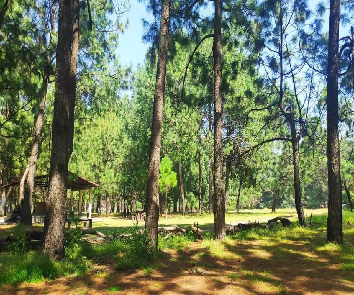 Terreno En Venta,Tala Centro,LOTE #7 DENTRO DEL PREDIO EL HUILUSTRE 1, Tala, Jalisco 45300,LOTE #7 DENTRO DEL PREDIO EL HUILUSTRE,pqVKnce