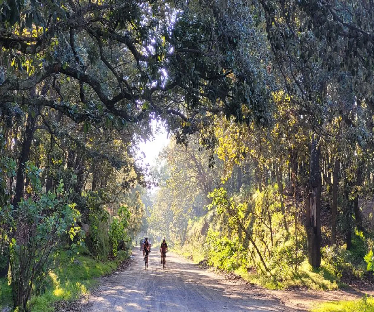 Terreno En Venta,Tala Centro,LOTE #7 DENTRO DEL PREDIO EL HUILUSTRE 1, Tala, Jalisco 45300,LOTE #7 DENTRO DEL PREDIO EL HUILUSTRE,pqVKnce