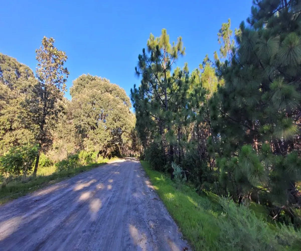 Terreno En Venta,Tala Centro,LOTE #7 DENTRO DEL PREDIO EL HUILUSTRE 1, Tala, Jalisco 45300,LOTE #7 DENTRO DEL PREDIO EL HUILUSTRE,pqVKnce