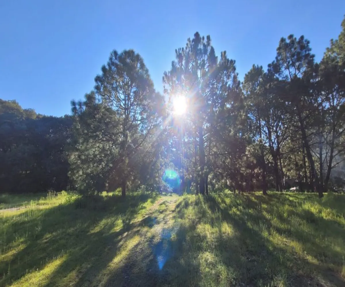 Terreno En Venta,Tala Centro,LOTE #7 DENTRO DEL PREDIO EL HUILUSTRE 1, Tala, Jalisco 45300,LOTE #7 DENTRO DEL PREDIO EL HUILUSTRE,pqVKnce