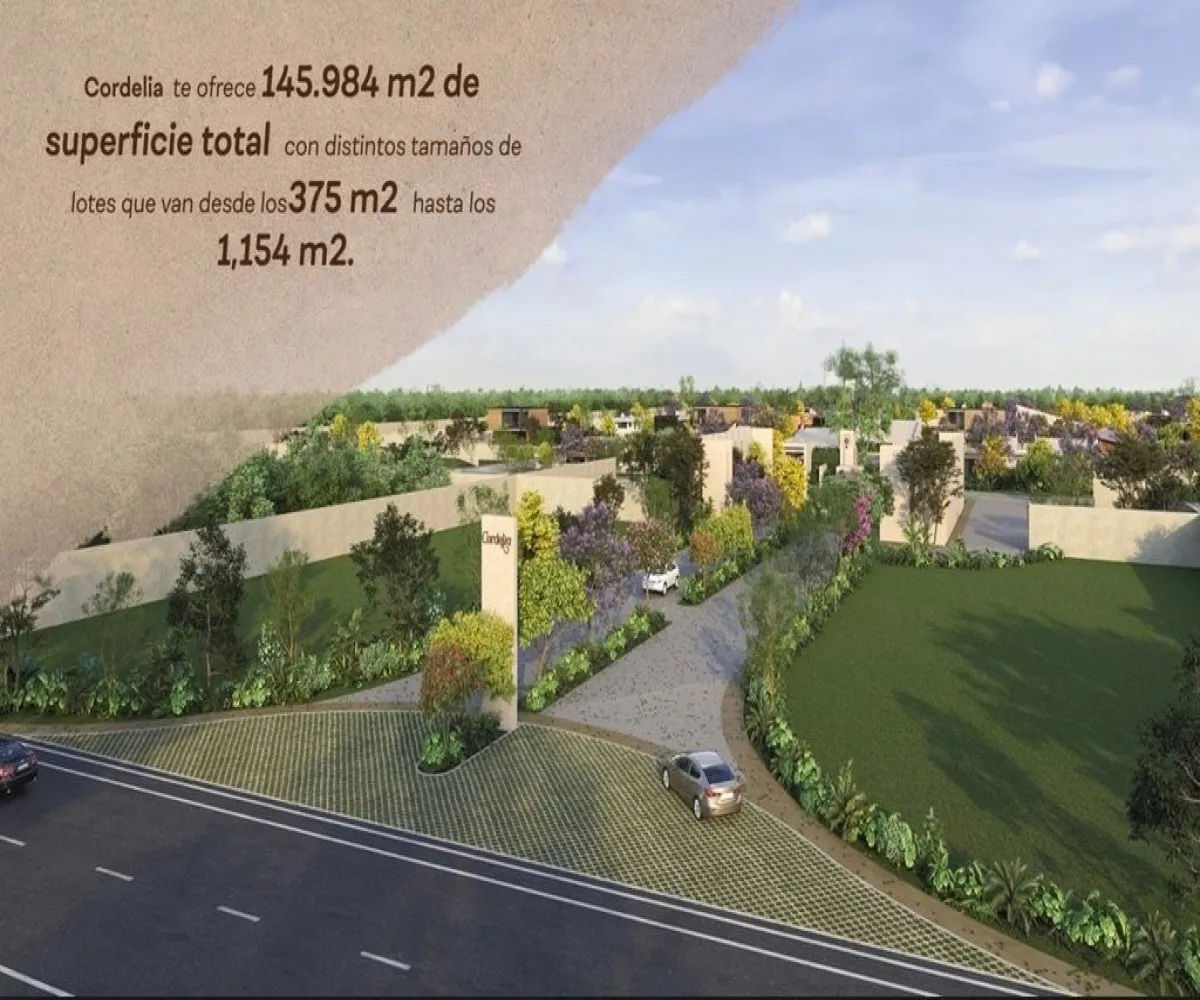 Terreno En Venta,Tamanché,Carretera Merida - Progreso #Km 20 261, Mérida, Yucatán 97307,Carretera Merida - Progreso #Km 20,pT8mNVB