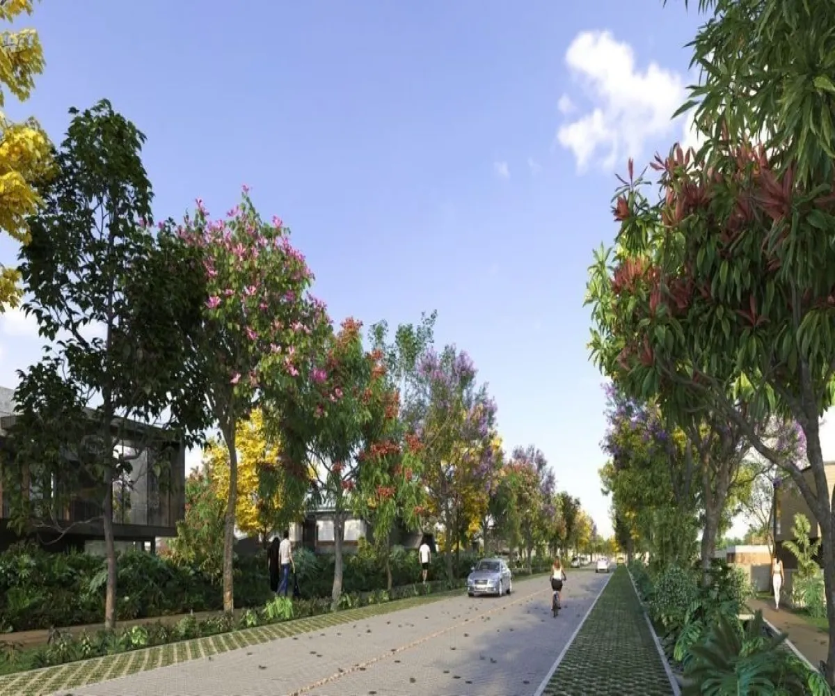 Terreno En Venta,Tamanché,Carretera Merida - Progreso #Km 20 261, Mérida, Yucatán 97307,Carretera Merida - Progreso #Km 20,pT8mNVB