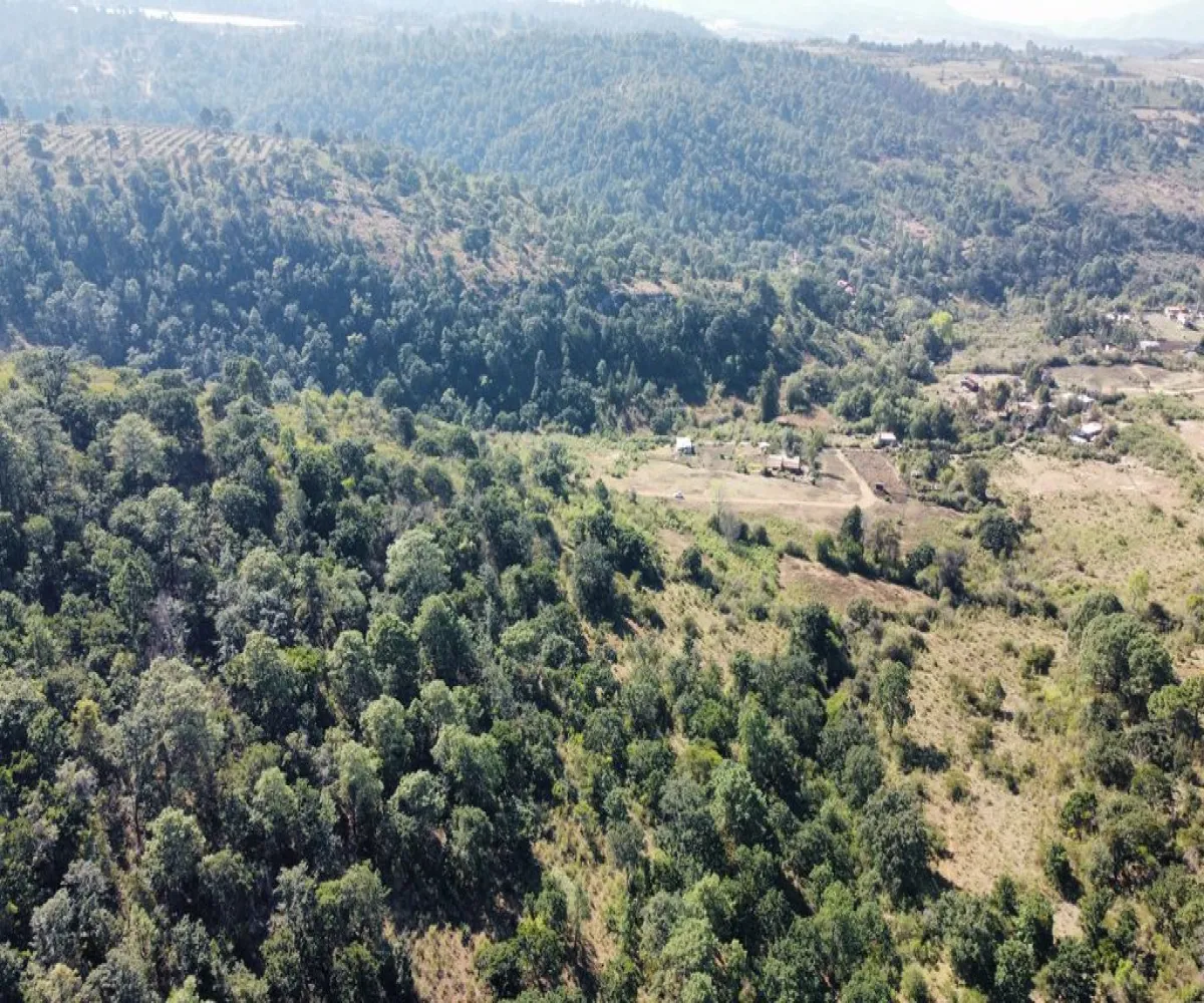 Terreno En Venta,Atacco,Calle Laurel S/N, Tapalpa, Jalisco 49340,Calle Laurel,pN7iYMA Terreno En Venta,Atacco,Calle Laurel S/N, Tapalpa, Jalisco 49340,Calle Laurel,pN7iYMA