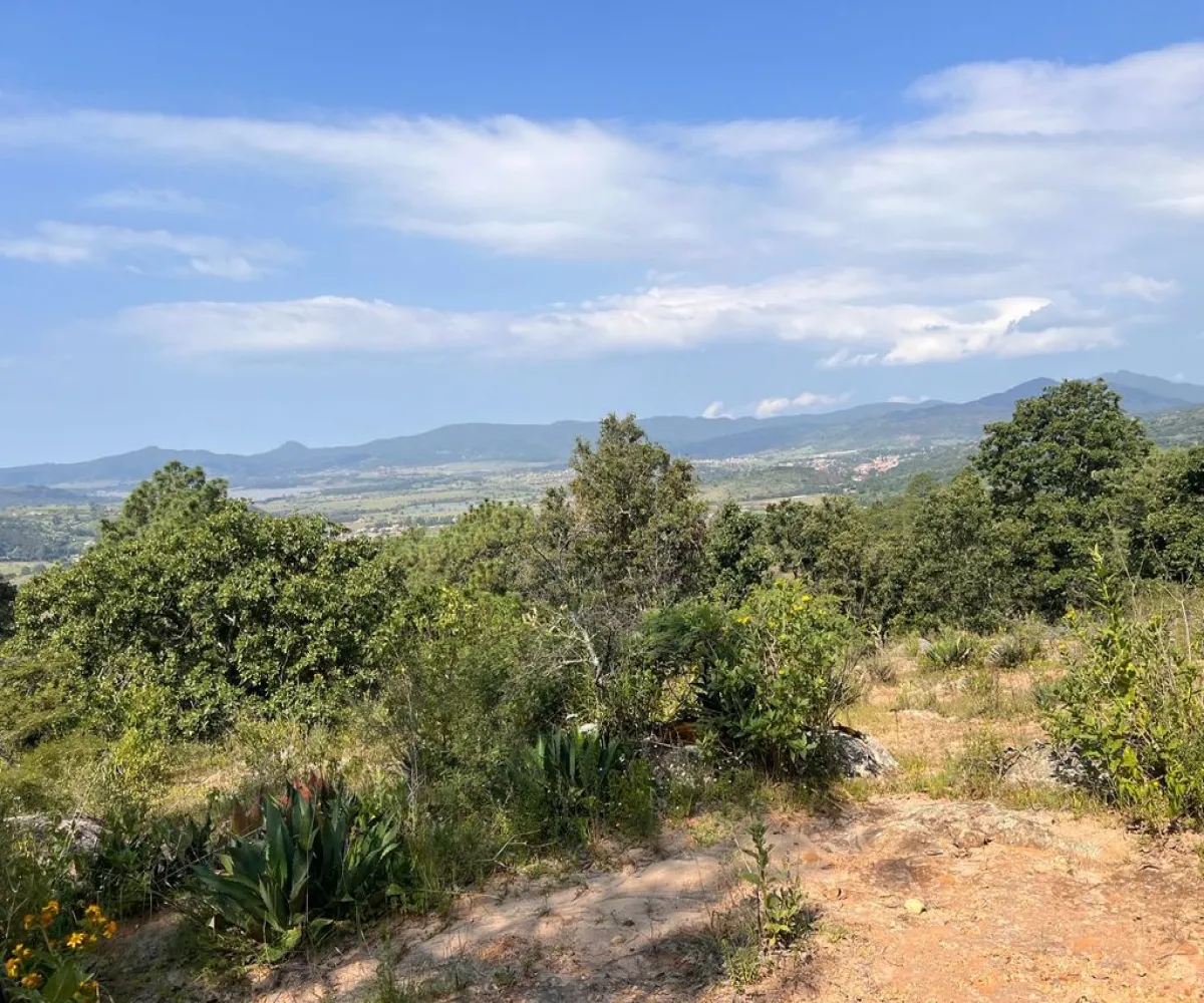 Terreno En Venta,Atacco,Calle Laurel S/N, Tapalpa, Jalisco 49340,Calle Laurel,pN7iYMA Terreno En Venta,Atacco,Calle Laurel S/N, Tapalpa, Jalisco 49340,Calle Laurel,pN7iYMA