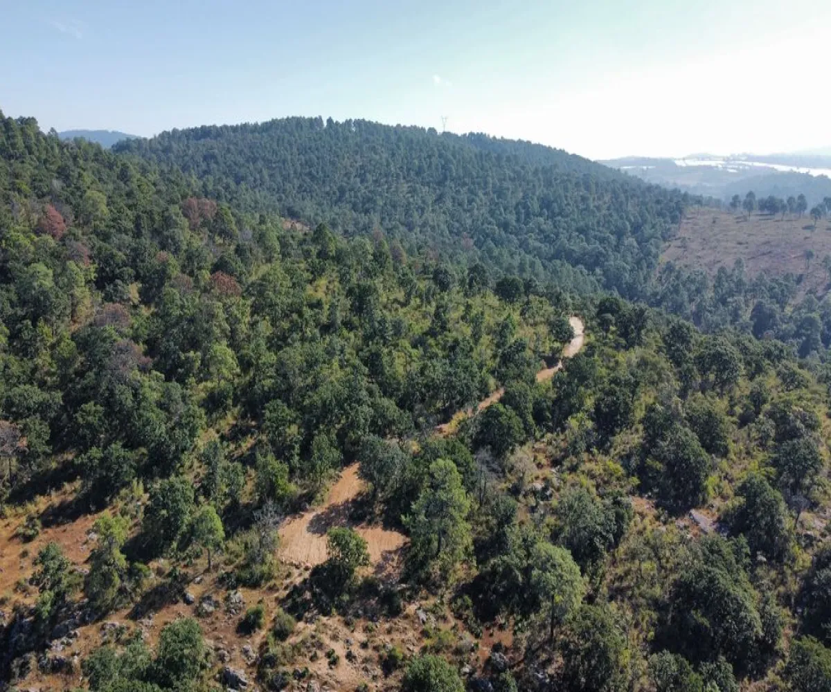 Terreno En Venta,Atacco,Calle Laurel S/N, Tapalpa, Jalisco 49340,Calle Laurel,pN7iYMA Terreno En Venta,Atacco,Calle Laurel S/N, Tapalpa, Jalisco 49340,Calle Laurel,pN7iYMA