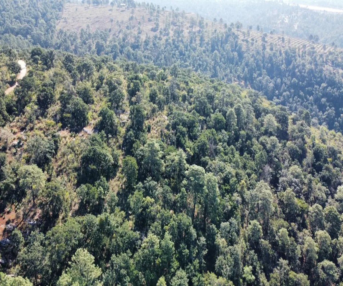 Terreno En Venta,Atacco,Calle Laurel S/N, Tapalpa, Jalisco 49340,Calle Laurel,pN7iYMA Terreno En Venta,Atacco,Calle Laurel S/N, Tapalpa, Jalisco 49340,Calle Laurel,pN7iYMA