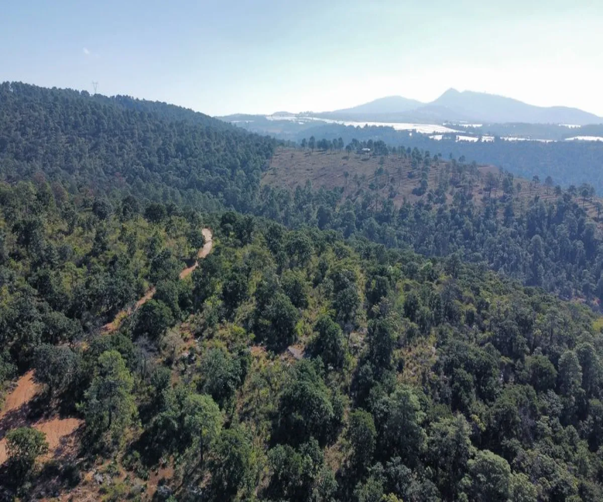 Terreno En Venta,Atacco,Calle Laurel S/N, Tapalpa, Jalisco 49340,Calle Laurel,pN7iYMA Terreno En Venta,Atacco,Calle Laurel S/N, Tapalpa, Jalisco 49340,Calle Laurel,pN7iYMA