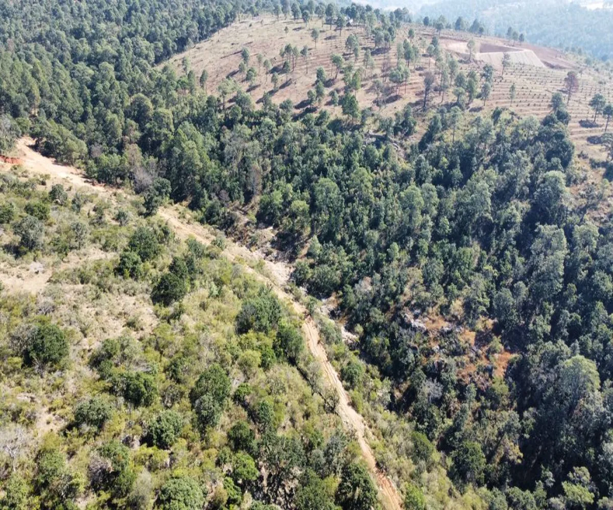 Terreno En Venta,Atacco,Calle Laurel S/N, Tapalpa, Jalisco 49340,Calle Laurel,pN7iYMA Terreno En Venta,Atacco,Calle Laurel S/N, Tapalpa, Jalisco 49340,Calle Laurel,pN7iYMA