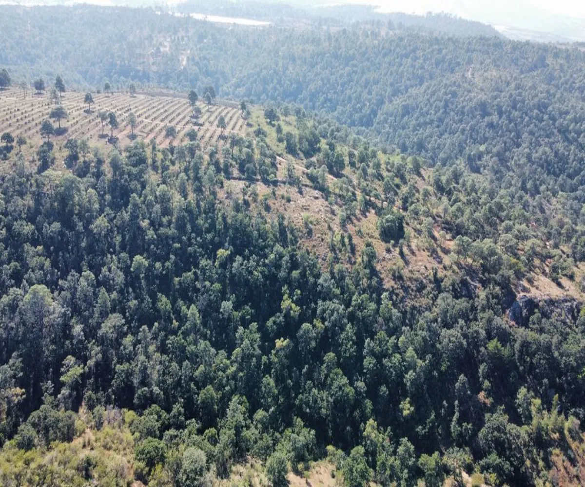 Terreno En Venta,Atacco,Calle Laurel S/N, Tapalpa, Jalisco 49340,Calle Laurel,pN7iYMA Terreno En Venta,Atacco,Calle Laurel S/N, Tapalpa, Jalisco 49340,Calle Laurel,pN7iYMA