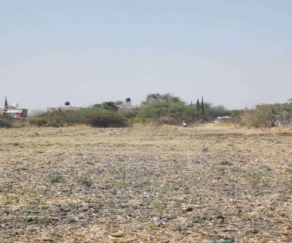 Terreno En Venta,Santa Cruz del Valle,SAN JUAN S/N, Tlajomulco de Zúñiga, Jalisco 45655,SAN JUAN ,pdkAI2J