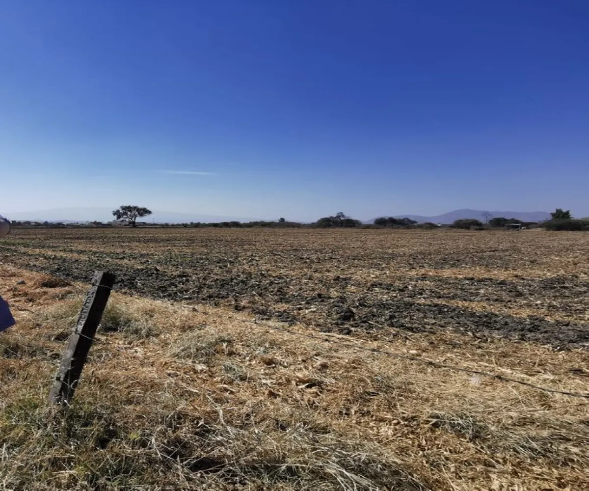 Terreno En Venta,Santa Cruz del Valle,SAN JUAN S/N, Tlajomulco de Zúñiga, Jalisco 45655,SAN JUAN ,pdkAI2J