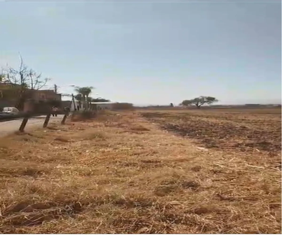 Terreno En Venta,Santa Cruz del Valle,SAN JUAN S/N, Tlajomulco de Zúñiga, Jalisco 45655,SAN JUAN ,pdkAI2J