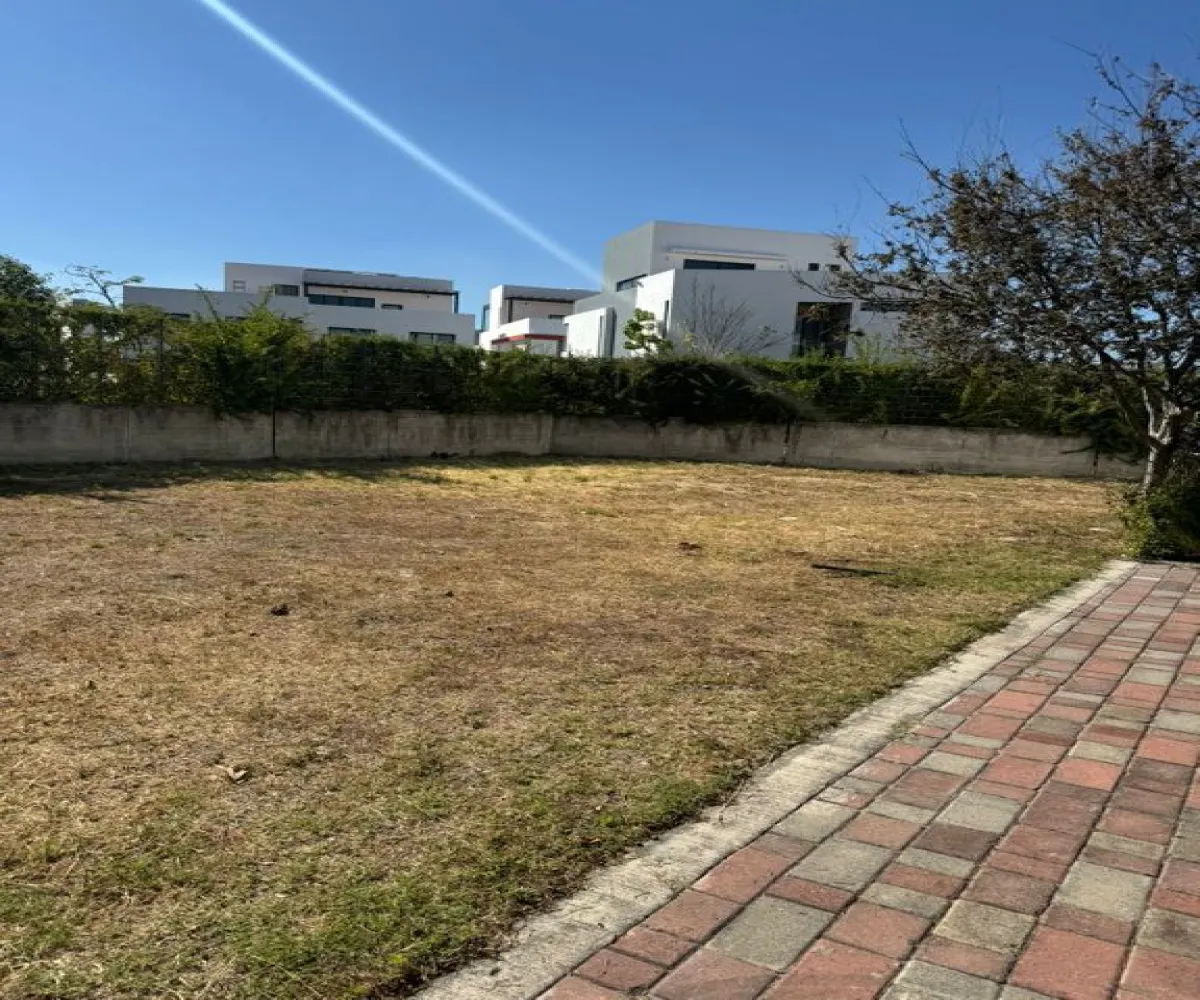 Terreno En Venta,Bosques Vallarta,Circuito del Bosque 216 94, Zapopan, Jalisco 45122,Circuito del Bosque ,pprlnnw Terreno En Venta,Bosques Vallarta,Circuito del Bosque 216 94, Zapopan, Jalisco 45122,Circuito del Bosque ,pprlnnw