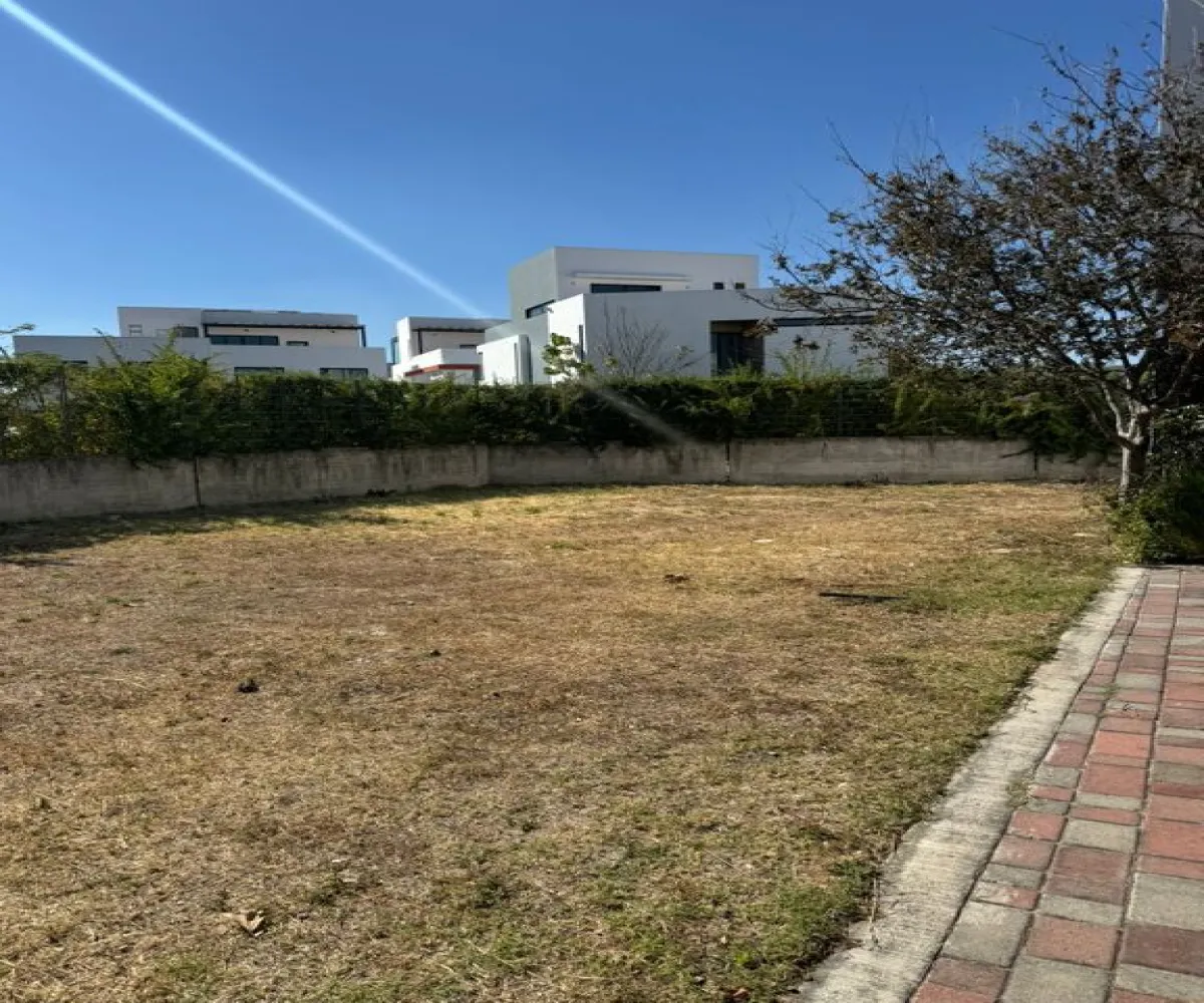 Terreno En Venta,Bosques Vallarta,Circuito del Bosque 216 94, Zapopan, Jalisco 45122,Circuito del Bosque ,pprlnnw Terreno En Venta,Bosques Vallarta,Circuito del Bosque 216 94, Zapopan, Jalisco 45122,Circuito del Bosque ,pprlnnw