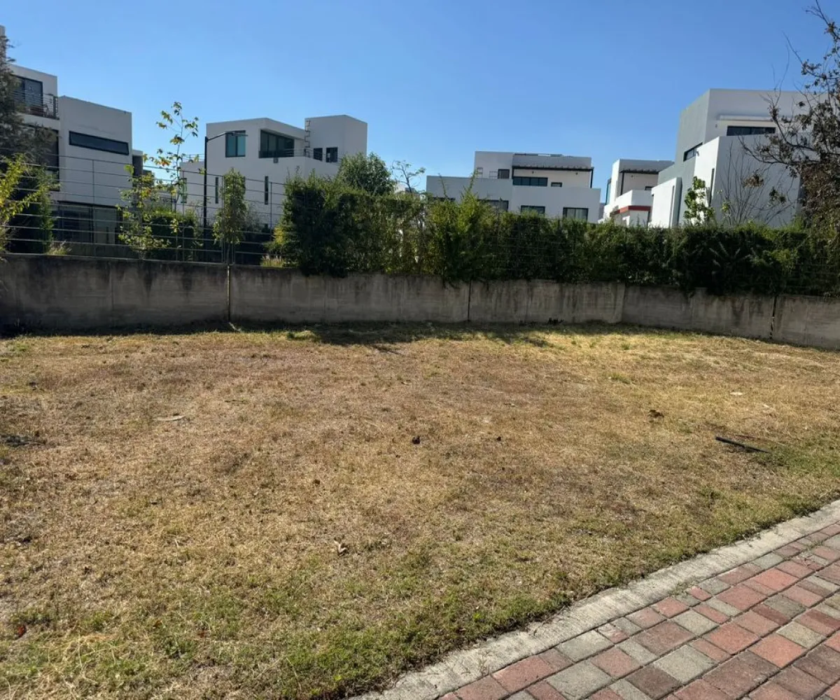 Terreno En Venta,Bosques Vallarta,Circuito del Bosque 216 94, Zapopan, Jalisco 45122,Circuito del Bosque ,pprlnnw Terreno En Venta,Bosques Vallarta,Circuito del Bosque 216 94, Zapopan, Jalisco 45122,Circuito del Bosque ,pprlnnw