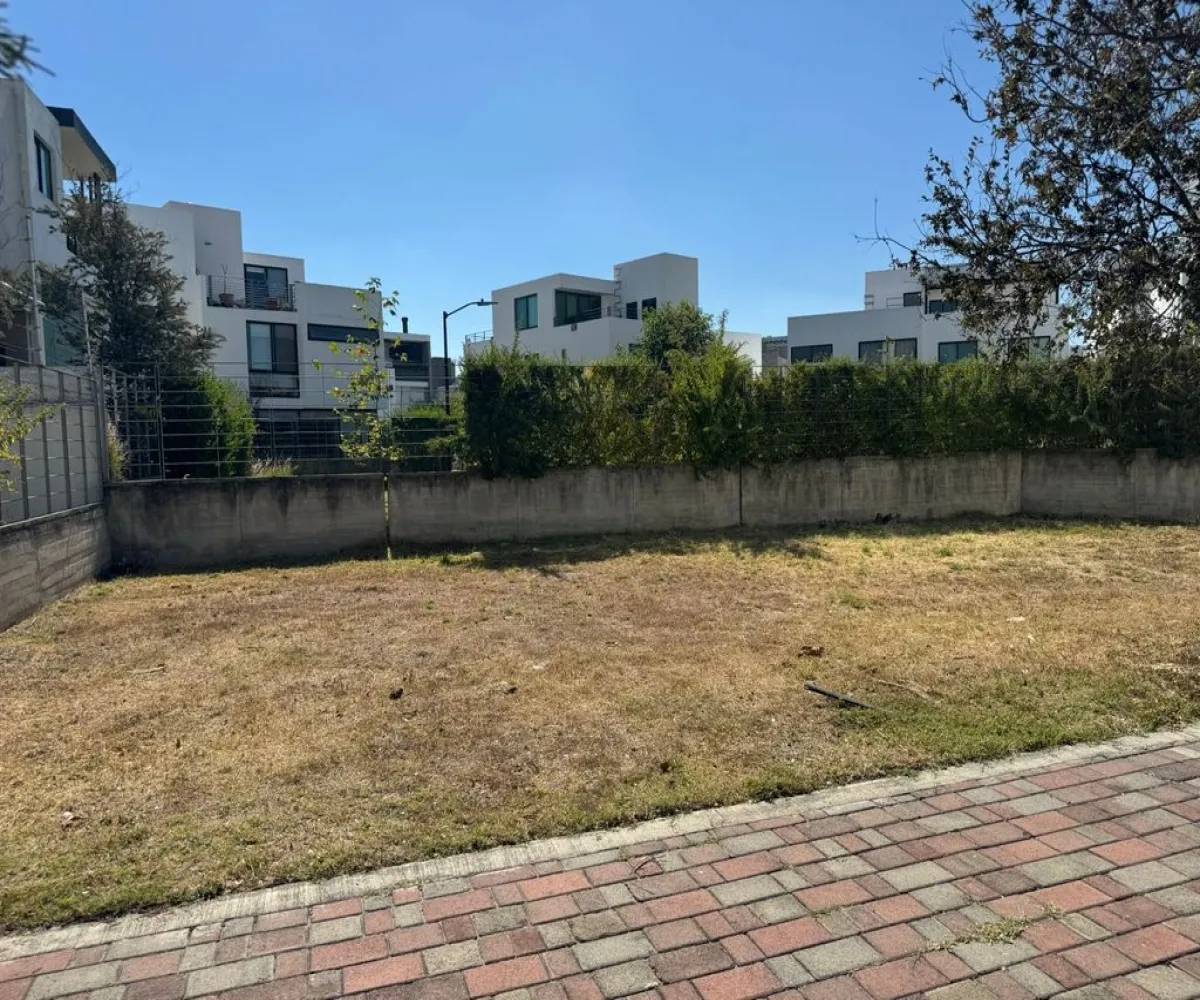 Terreno En Venta,Bosques Vallarta,Circuito del Bosque 216 94, Zapopan, Jalisco 45122,Circuito del Bosque ,pprlnnw Terreno En Venta,Bosques Vallarta,Circuito del Bosque 216 94, Zapopan, Jalisco 45122,Circuito del Bosque ,pprlnnw