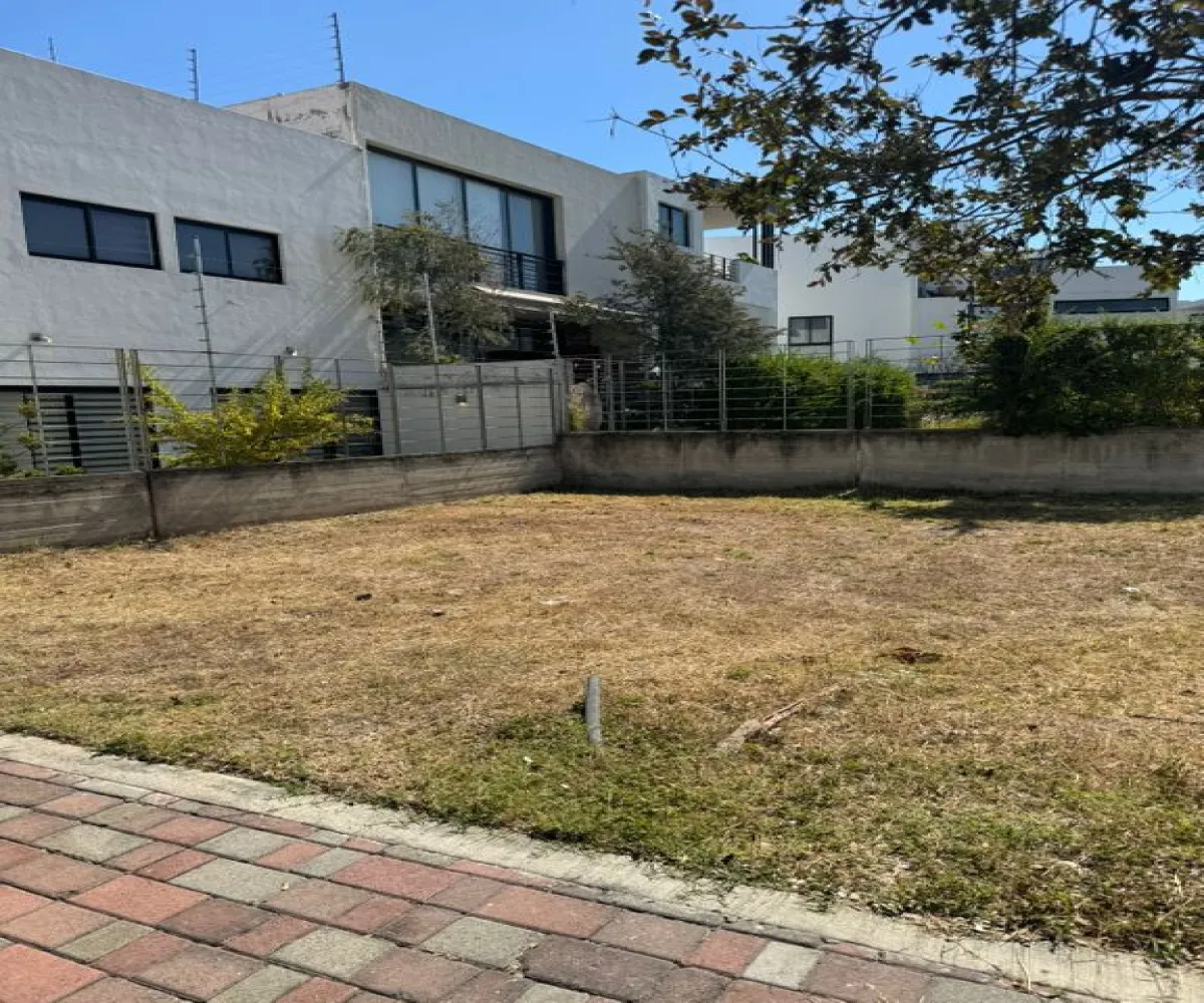 Terreno En Venta,Bosques Vallarta,Circuito del Bosque 216 94, Zapopan, Jalisco 45122,Circuito del Bosque ,pprlnnw Terreno En Venta,Bosques Vallarta,Circuito del Bosque 216 94, Zapopan, Jalisco 45122,Circuito del Bosque ,pprlnnw